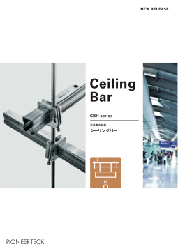 Ceiling Bar